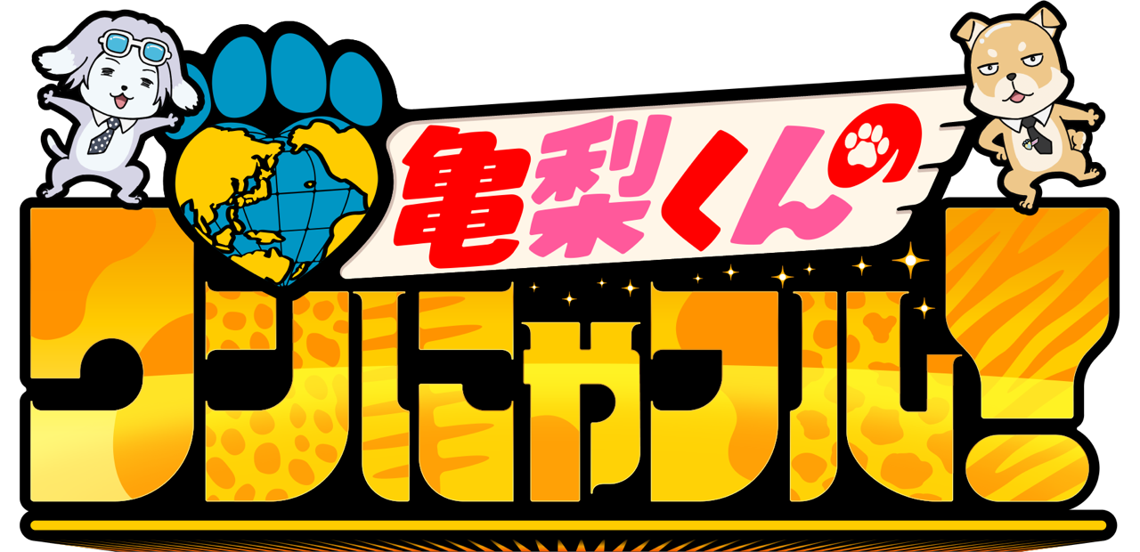 亀梨くんのワンにゃフル！ ロゴ